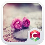 pink roses theme c launcher android application logo